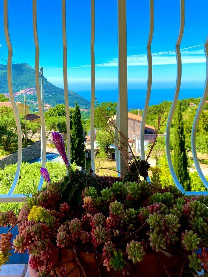 Residenze Maremonti Maratea Exterior foto